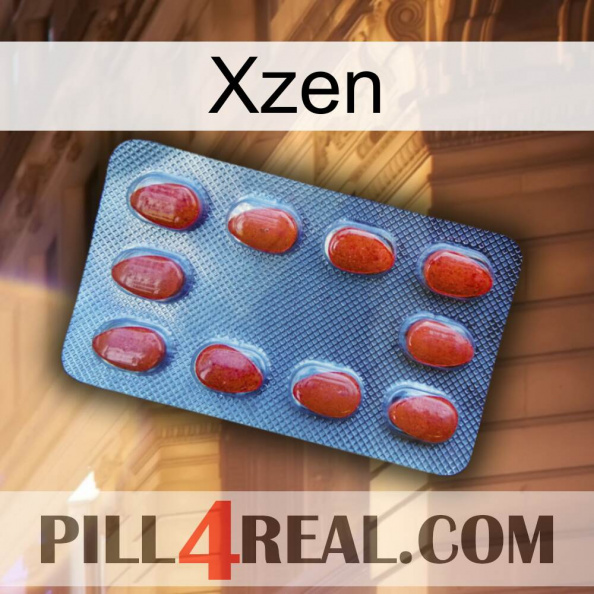 Xzen 06
